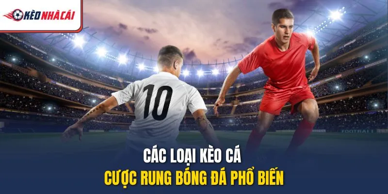 Các loại kèo cá cược rung bóng đá phổ biến