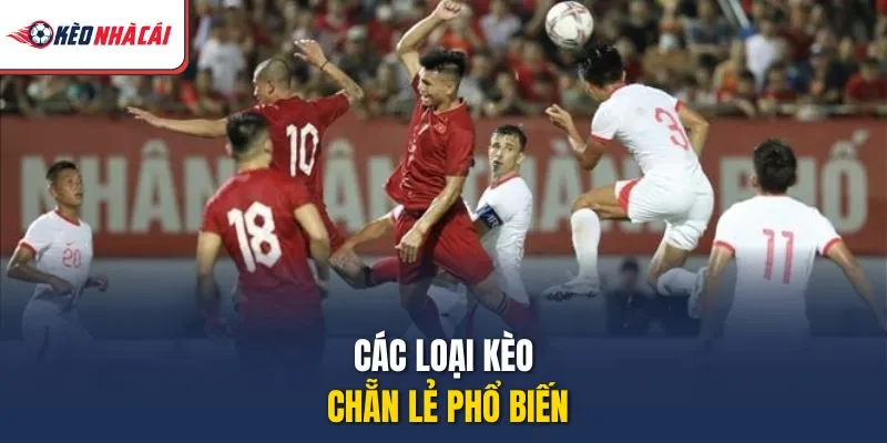 Các loại kèo chẵn lẻ phổ biến