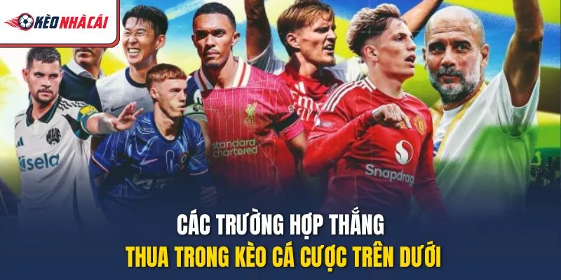 Các trường hợp thắng thua trong kèo cá cược trên dưới