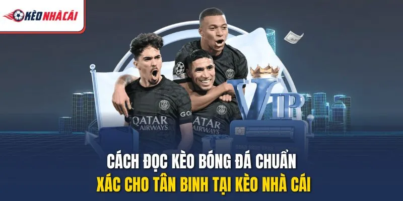 Cách Đọc Kèo Bóng Đá Chuẩn Xác Cho Tân Binh Tại Kèo Nhà Cái