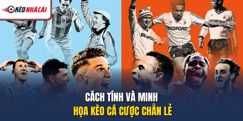 Cách tính và minh họa kèo cá cược chẵn lẻ