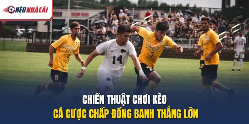 Chiến thuật chơi kèo cá cược chấp đồng banh thắng lớn