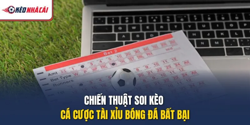 Chiến thuật soi kèo cá cược tài xỉu bóng đá bất bại