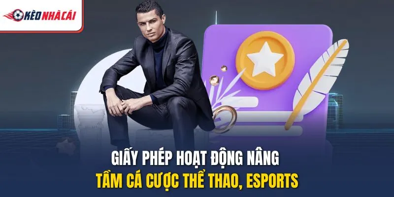 Giấy phép hoạt động nâng tầm cá cược thể thao, esports