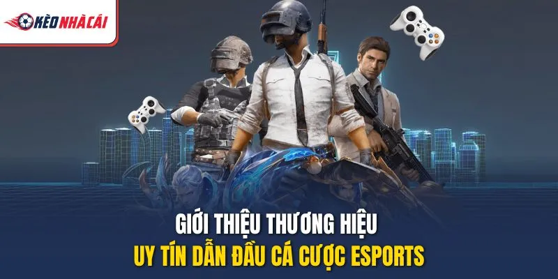 Giới thiệu thương hiệu uy tín dẫn đầu cá cược esports