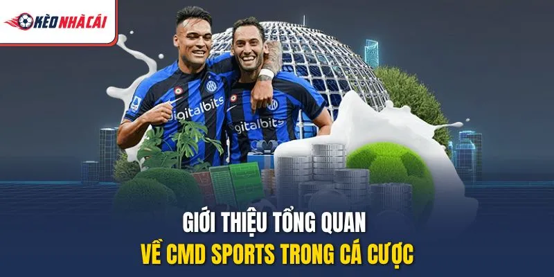 Giới thiệu tổng quan về CMD Sports trong cá cược