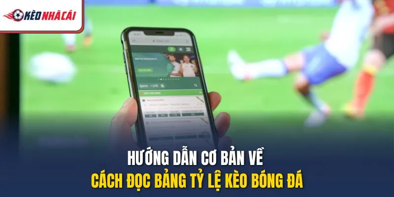 Hướng dẫn cơ bản về cách đọc bảng tỷ lệ kèo bóng đá