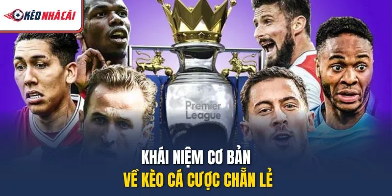 Khái niệm cơ bản về kèo cá cược chẵn lẻ