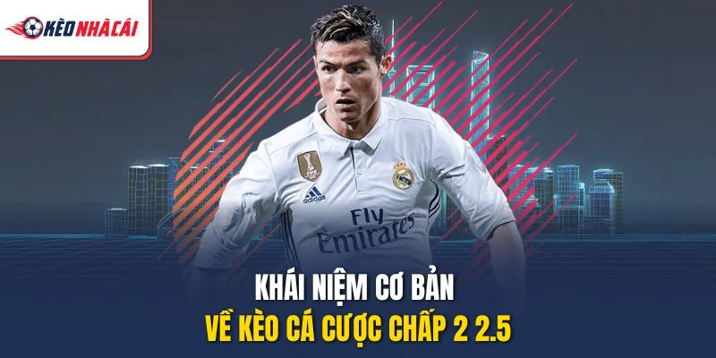 Khái niệm cơ bản về kèo cá cược chấp 2 2.5
