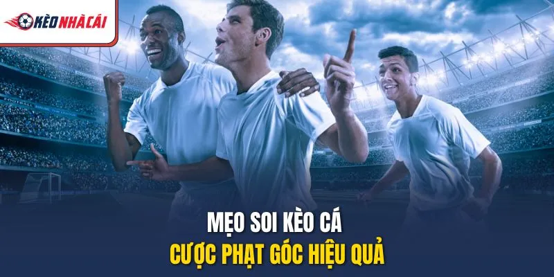 Mẹo soi kèo cá cược phạt góc hiệu quả