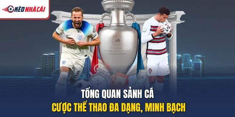 Tổng quan sảnh cá cược thể thao đa dạng, minh bạch