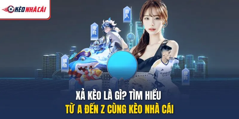 Xả Kèo Là Gì? Tìm Hiểu Từ A Đến Z Cùng Kèo Nhà Cái